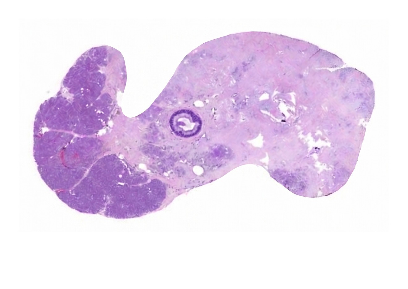 A processed image